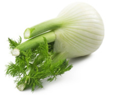 Fenchel