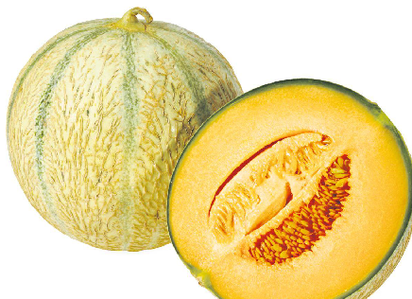 Melonen Charentais