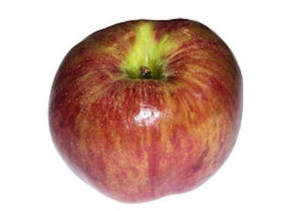 Apfel