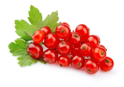 Johannisbeeren