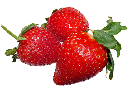 Erdbeeren