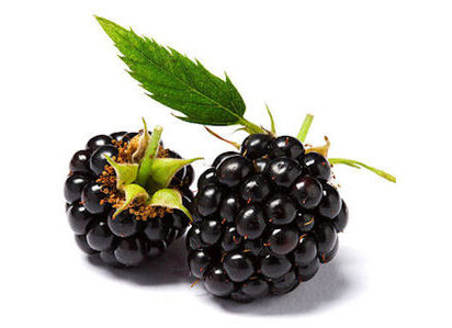 Brombeeren